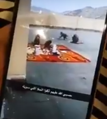 بالفيديو..قرود تهاجم مدرسة بنات بمكة وتسرق إفطار المعلمات