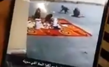 بالفيديو..قرود تهاجم مدرسة بنات بمكة وتسرق إفطار المعلمات
