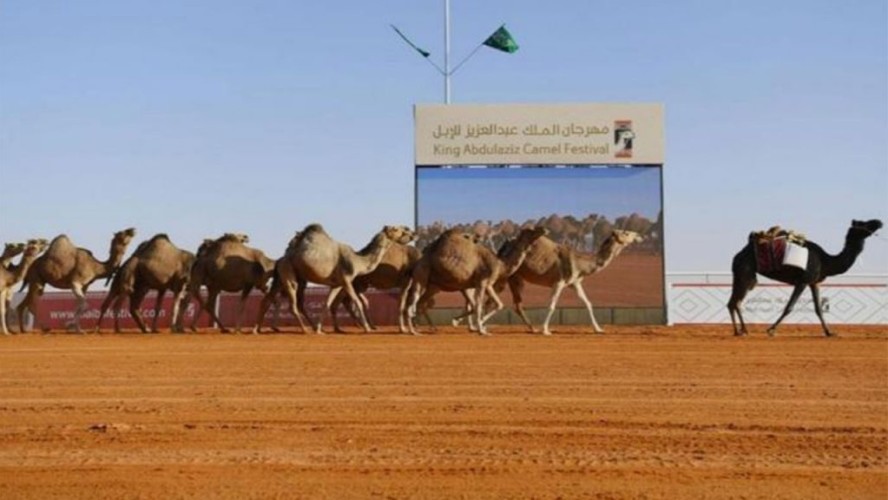 مهرجان الملك عبدالعزيز للإبل يحجب جميع الجوائز من “بن دغيثر” وتغريمه “مليون ريال”