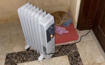 شاهد .. عائلة تضع دفاية كهربائية أمام شقتها لتدفئة القطط من البرد في المملكة
