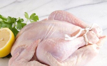 بها سم قاتل.. “دراسة” تحذّر من تناول أجنحة ورقاب الدجاج