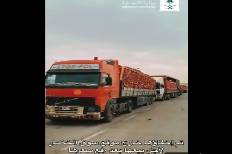 بالفيديو: ضبط 6 شاحنات محملة بكميات كبيرة من البصل .. والكشف عن مصير الشحنة!
