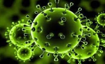 حائل: تسجيل 4 حالات إصابة جديدة بفيروس كورونا .. والكشف عن جنسيات المصابين!