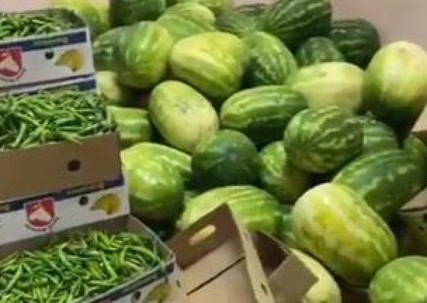 بالفيديو .. أمانة نجران تضبط يكن عمالة يُستخدم كمستودع لتخزين الفواكه والخضراوات
