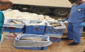 بسبب سوء الحفظ والتخزين .. بلدية القطيف تتلف أكثر من 360 كغم من الأسماك الفاسدة