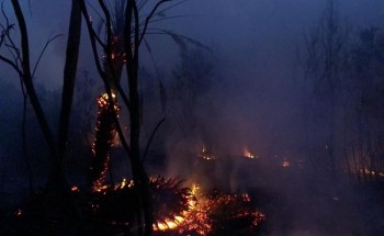 فرق الإطفاء بمدني حائل تخمد حريق هائل في مزرعة بحي السويلفة