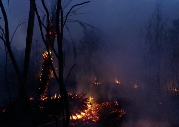 فرق الإطفاء بمدني حائل تخمد حريق هائل في مزرعة بحي السويلفة