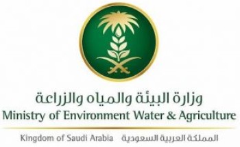 وزراء “البيئة” العرب يتخذون عدد من القرارات لتفادي كارثة بيئية محتملة جراء عدم صيانة السفينة “صافر” النفطية