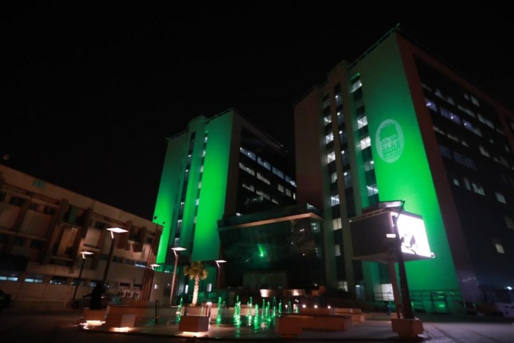 “سعود الطبية”: 75% من مواليد اليوم الوطني الـ90 ” إناث”