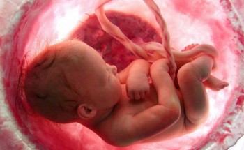 د. ريما الحمادي: وجود تشوهات خلقية بالجنين السبب الرئيس للنزيف الرحمي