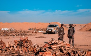القوات الخاصة للأمن البيئي تضبط 70 طناً من الحطب المحلي المعد للبيع في مدينة الرياض