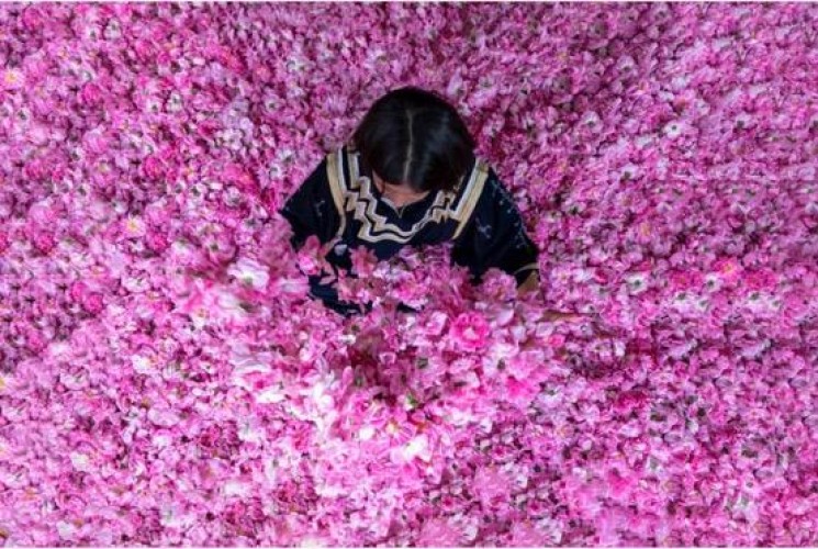 أرامكو السعودية تدشن مصنع الورد الطائفي “روزيار “