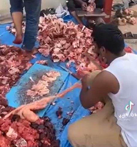 مصادر: أمانة تبوك تتمكن من تحديد هويات العمالة الظاهرين في فيديو تقطيع اللحم بشكل عشوائي