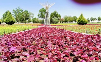 أمانة منطقة تبوك تنهي زراعة ما يزيد على ٥٠٠ ألف زهرة صيفية وعشرة الآف شجرة في حدائق مدينة تبوك