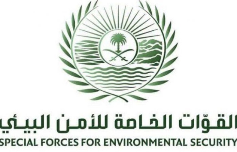 القوات الخاصة للأمن البيئي توقف (31) مخالفًا لنظام البيئة لارتكابهم مخالفات رعي