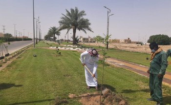بلدية اللهابه تواصل جهودها بزراعة أشجار الظل والزينة باللهابة والمراكز التابعة