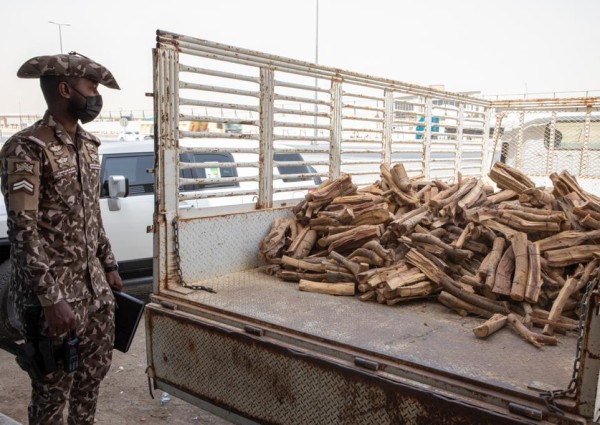 القوات الخاصة للأمن البيئي تضبط موقعًا لبيع الحطب والفحم المحليين في محافظة جدة