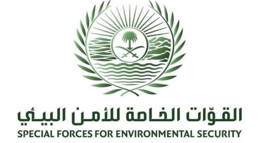 القوات الخاصة للأمن البيئي تضبط مخالفَين لقيامهما بتشويه المعالم الطبيعية في محافظة الخرمة
