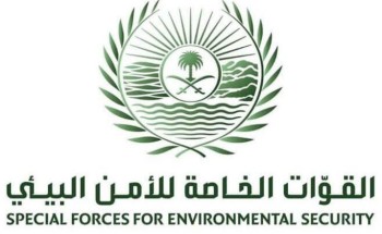 القوات الخاصة للأمن البيئي تضبط مخالفَين لقيامهما بتشويه المعالم الطبيعية في محافظة الخرمة