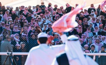 السعودية تستعد لاحتضان أكبر مهرجانات الإبل في العالم