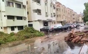 بالفيديو: سقوط عدد كبير من الأشجار بعد اقتلاعها من جذورها بسبب الأمطار في جدة