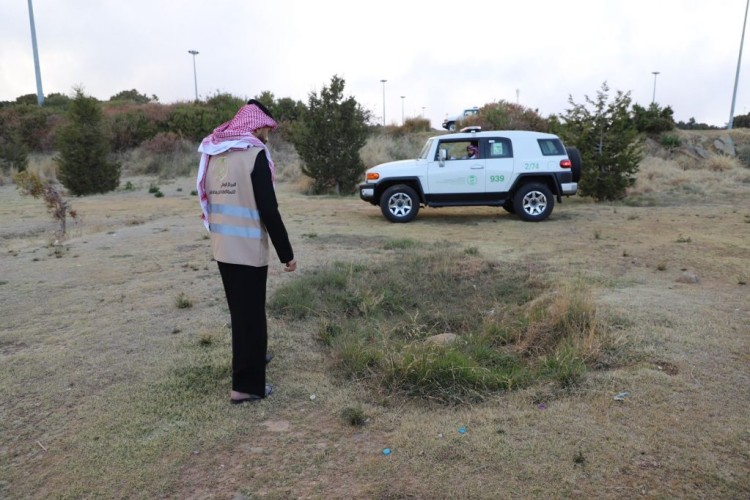 تسجيل نحو 650 مخالفة ضد مخالفي لوائح “الغطاء النباتي” في مناطق المملكة