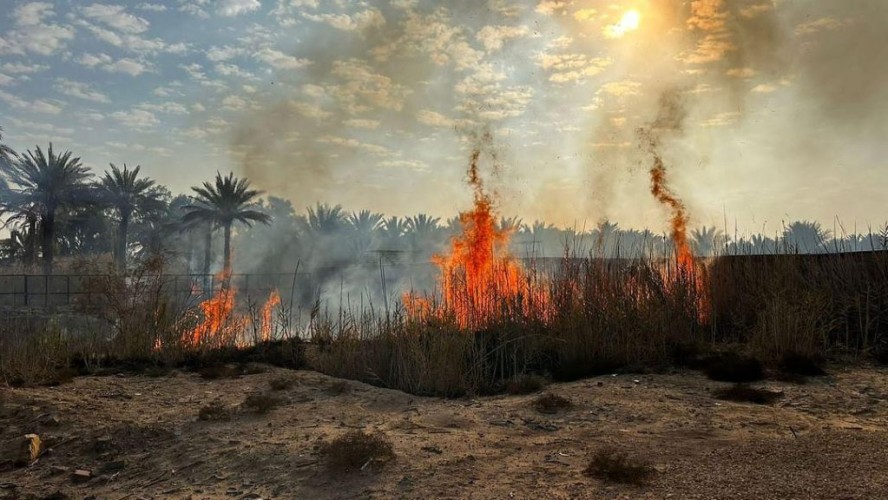 الدفاع المدني في دومة الجندل يسيطر على حريق مزارع نشب في مواقع عدة نتج عنه احتراق 28 نخلة وأشجار أخرى