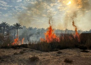 الدفاع المدني في دومة الجندل يسيطر على حريق مزارع نشب في مواقع عدة نتج عنه احتراق 28 نخلة وأشجار أخرى