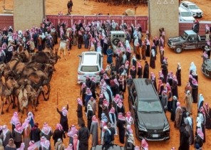 مهرجان الملك عبدالعزيز للإبل في نسخته السابعة يعلن أسماء الفائزين في فئة سيف الملك لون الشعل