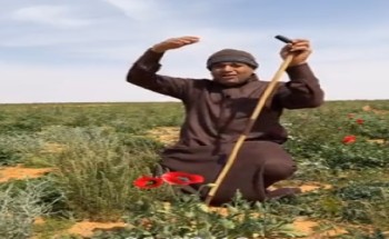 بالفيديو: “خالد الزعاق” يزف بشرى سارة .. من اليوم موجة البرد بتروح عنا على كل المناطق ما عدا هذه المنطقة