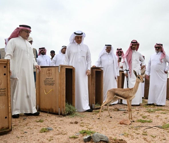 وزير البيئة والمياه والزراعة يطلق 92 كائنًا فطريًا في متنزه البيضاء البريٍ بالمدينة المنورة