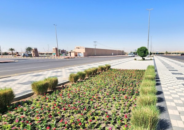 بلدية النعيرية تزرع 300 ألف زهرة موسمية بالطرق والشوارع والميادين الرئيسية