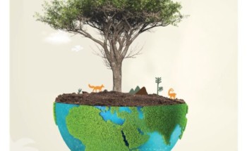 هيئة  تطوير  محمية  الملك  سلمان  بن عبدالعزيز  الملكية  تفعل  اليوم  العالمي  للبيئة