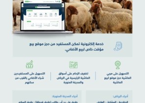 “البيئة” تُطلق خدمة الحجز الإلكتروني لبيع الأضاحي في 12 موقعًا بالرياض والمدينة المنورة