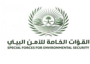 ‏القوات الخاصة للأمن البيئي تضبط مقيماً مخالفاً لنظام البيئة لتلويثه وسطاً بيئياً في مكة المكرمة