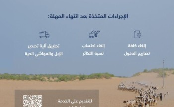 “البيئة”: الشهر الأخير لعودة المواشي المملوكة لغير السعوديين إلى دولهم