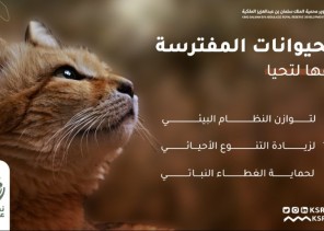 هيئة  تطوير  محمية  الملك  سلمان  بن عبدالعزيز  الملكية  تعزز  الوعي  بالتوازن  البيئي من  خلال  حملة“  نعتمد  على  وعيك ”