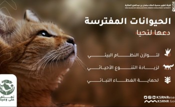 هيئة  تطوير  محمية  الملك  سلمان  بن عبدالعزيز  الملكية  تعزز  الوعي  بالتوازن  البيئي من  خلال  حملة“  نعتمد  على  وعيك ”
