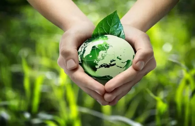القطاع الخاص يضاعف استثماره في تقديم الخدمات البيئية