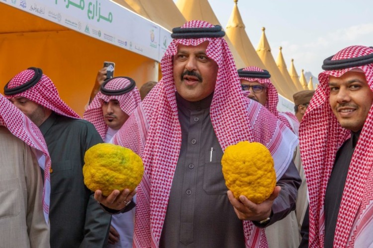 أمير حائل يفتتح مهرجان الحمضيات ويؤكد القوة الزراعية والاقتصادية للمنطقة
