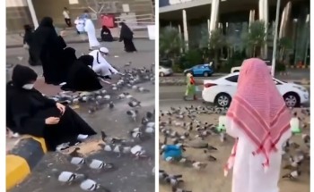 بالفيديو: «متحدث أمانة مكة» يكشف قيمة مخالفة إلقاء الأطعمة للحمام والحيوانات على الأرصفة