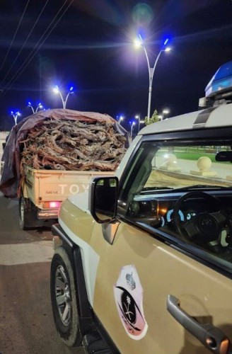 شرطة محافظة طبرجل بمنطقة الجوف تضبط مخالفًا لنظام البيئة
