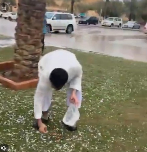 شاهد.. سكان الرياض يجمعون حبات البرد بعد سقوط الأمطار على المنطقة