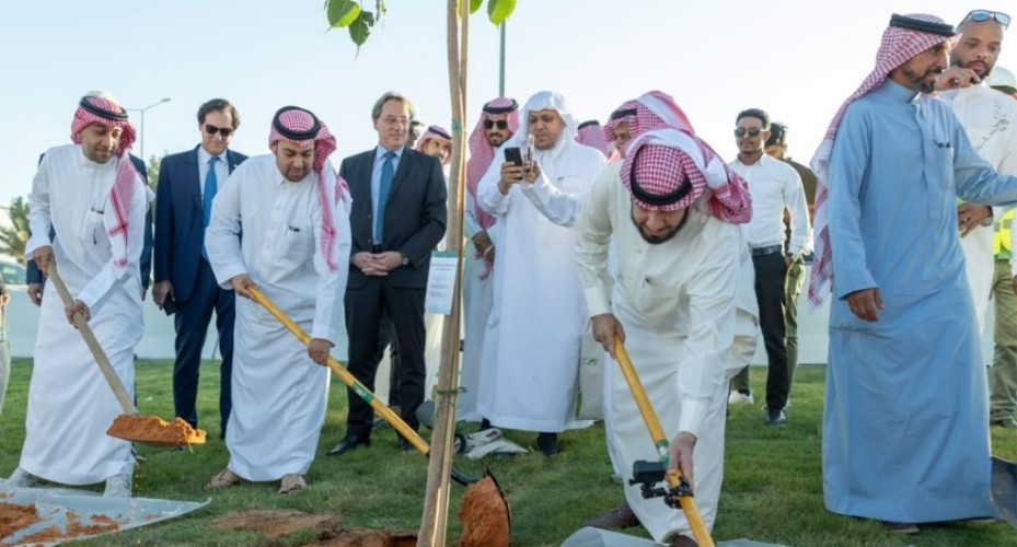 استمراراً لمشاريع تشجير الأحياء السكنية “الرياض الخضراء” يصل إلى حي عرقة​
