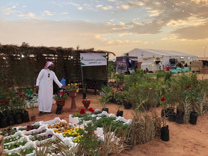 “2000 شتلة” سدر من مزرعة أبو أنس لدعم مبادرة أمير القصيم بتشجير المنطقة في مهرجان ربيع البكيرية40