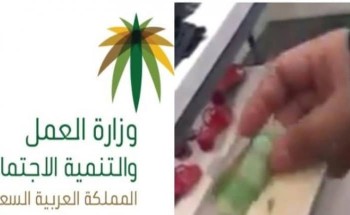 العمل : تتخذ قرار بترحيل المدير اللبناني صاحب فيديو “ريال مكافأة ” لعاملتين سعوديتين