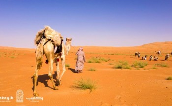 قافلة “ركايب” تتأهب لعبور صحراء الربع الخالي بمشاركة 100 مغامر (صور)