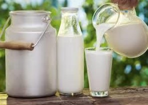 “الغذاء والدواء” تحذر: 7 أمراض خطيرة قد تصيبك إذا تناولت الحليب الخام
