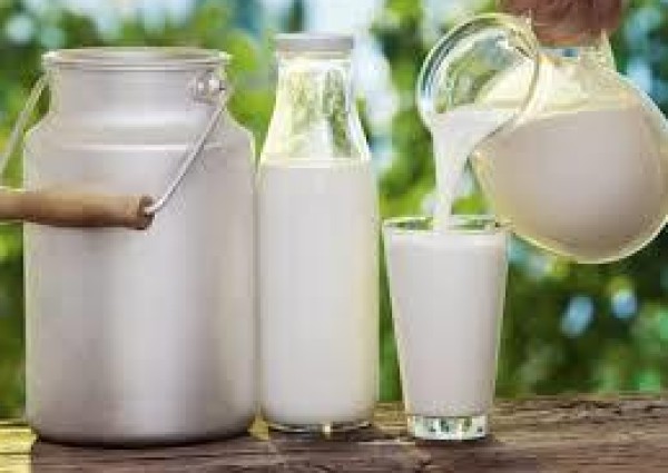 “الغذاء والدواء” تحذر: 7 أمراض خطيرة قد تصيبك إذا تناولت الحليب الخام