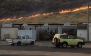 اشتعال الحرائق بحشائش ربيع السويق في ينبع النخل (فيديو)